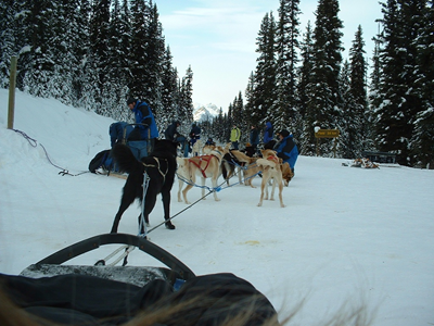 Dog Sled Ride 7.JPG